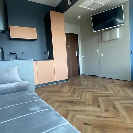 公寓 Panorama 21 Floor Hanza Tower 什切青